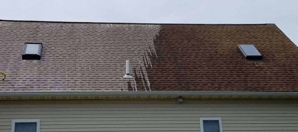 roof cleaning