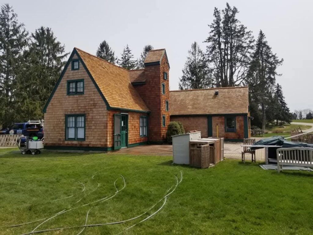 roof cleaning after