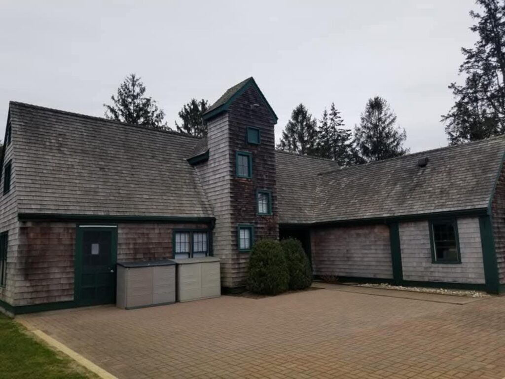 roof cleaning before